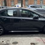 Daily Car Rentals