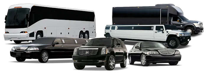 Cathay Express Transportation/ Ambulette Picture 6