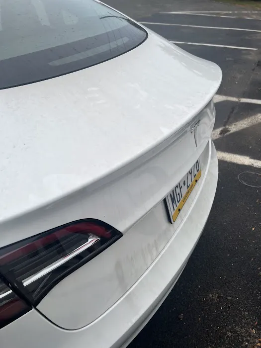 Budget Car Rental Picture 3