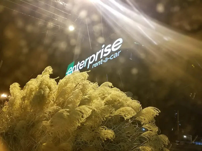 Enterprise Rent-A-Car Picture 6