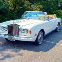 Rev Exotic Car Rentals ico