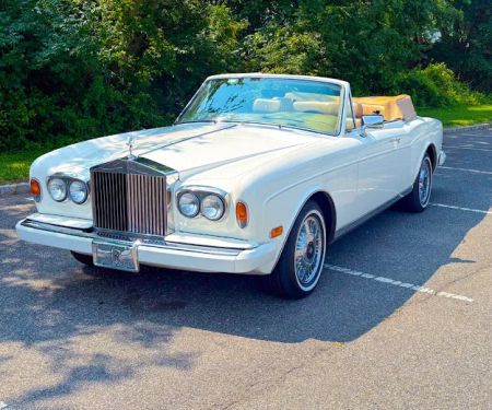 Rev Exotic Car Rentals