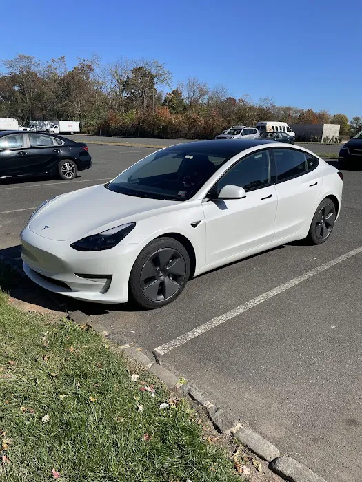 Avis Car Rental Picture 5