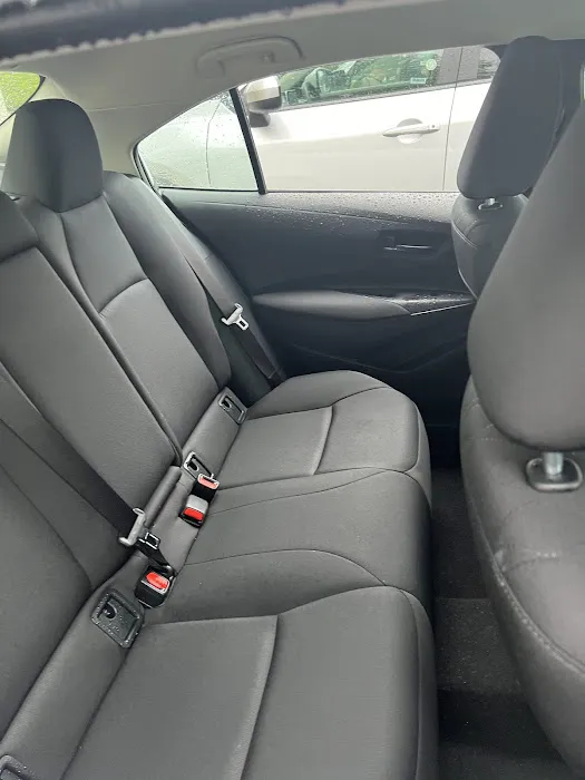 Avis Car Rental Picture 5