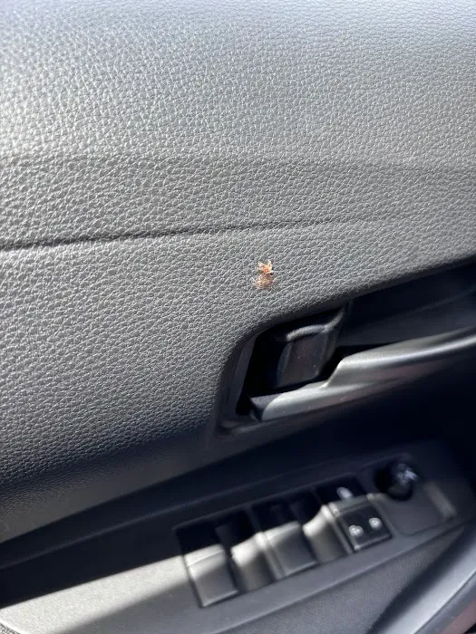 Avis Car Rental Picture 2