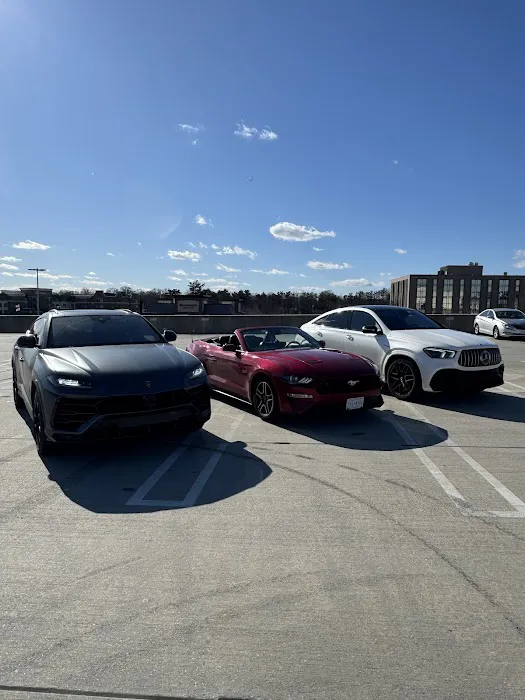 Ivan Exotics Car Rentals Picture 6