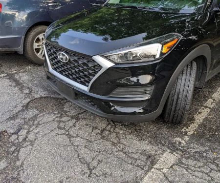 Avis Car Rental