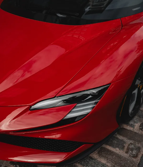 STREET EXOTICS Picture 3