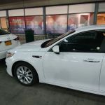 Avis Car Rental