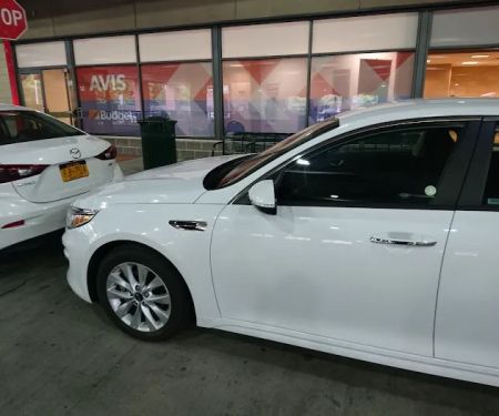 Avis Car Rental