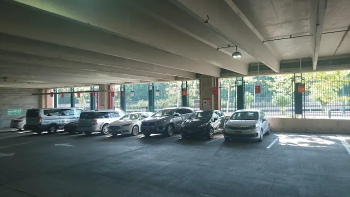 Avis Car Rental Picture 5