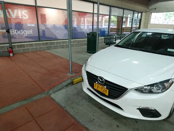 Avis Car Rental Picture 4