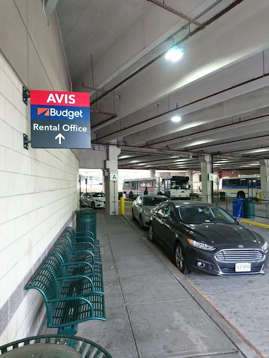 Avis Car Rental Picture 3