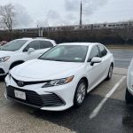 Avis Car Rental