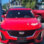 Budget Car Rental
