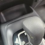 Avis Car Rental