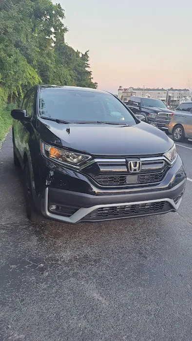 Budget Car Rental Picture 5