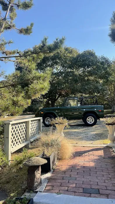 The Classic Car Group Picture 10