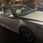 Avis Car Rental