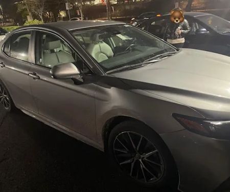 Avis Car Rental