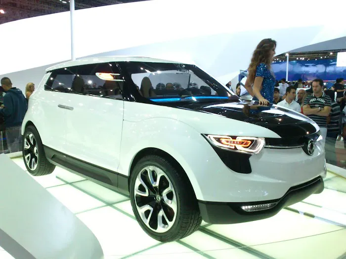 Budget Car Rental Picture 1