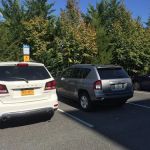 Avis Car Rental