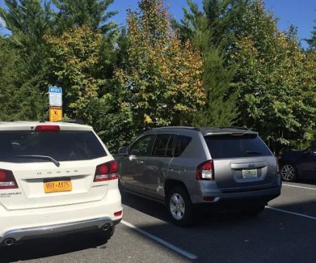 Avis Car Rental