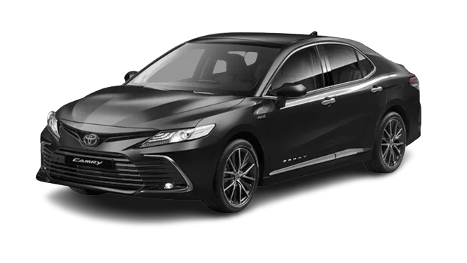 Carasaljo Car Rental Picture 3