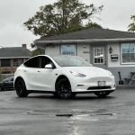 The Rental Car King