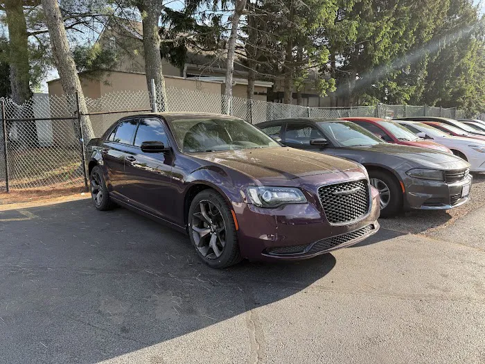 The Rental Car King Picture 5