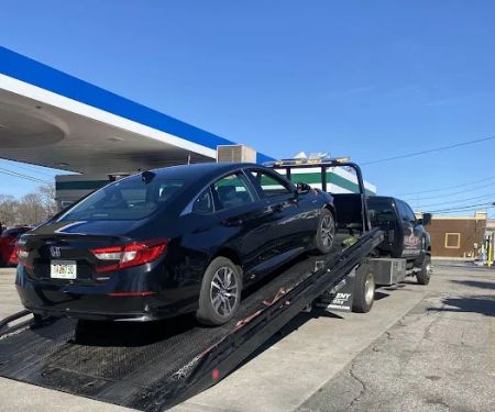 Avis Car Rental