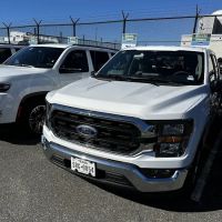 Alamo Rent A Car ico