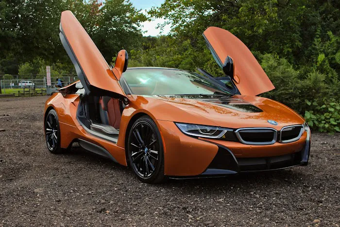 Cloud 9 Exotics Picture 3