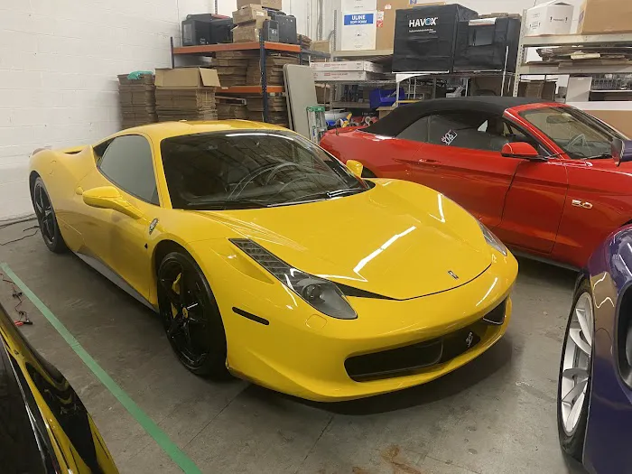 Cloud 9 Exotics Picture 2
