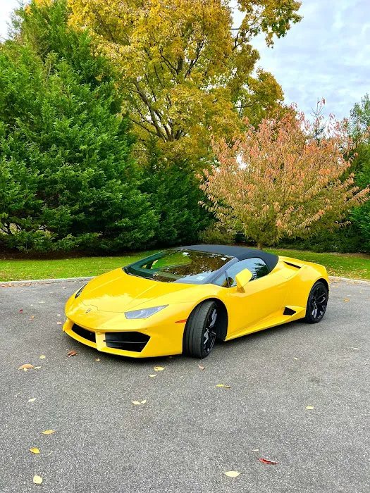 Cloud 9 Exotics Picture 7
