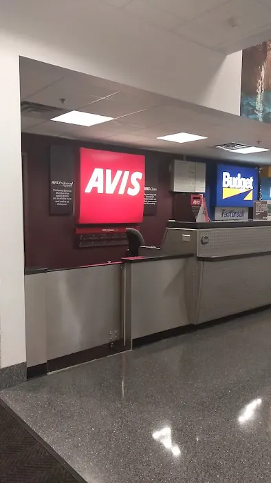 Avis Car Rental Picture 2
