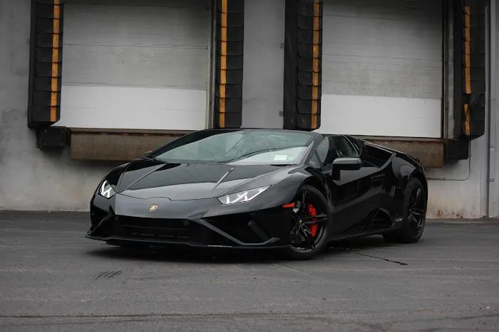 Veluxity Exotic Car Rental Picture 5
