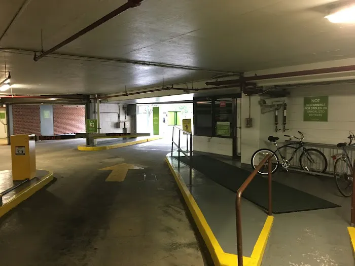 Avis Car Rental Picture 2