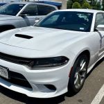 Avis Car Rental