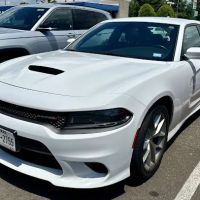 Avis Car Rental ico