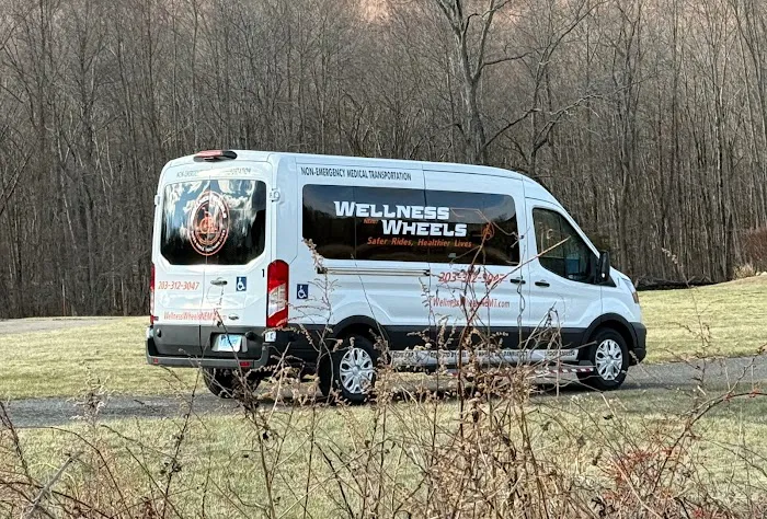 Wellness Wheels NEMT Picture 6