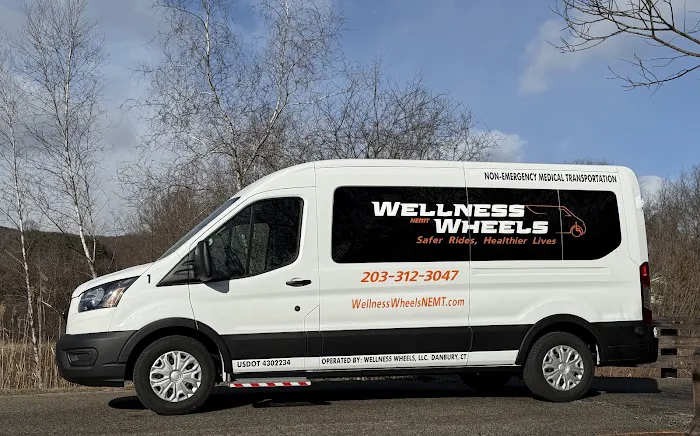 Wellness Wheels NEMT Picture 8