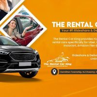 The Rental Car King ico