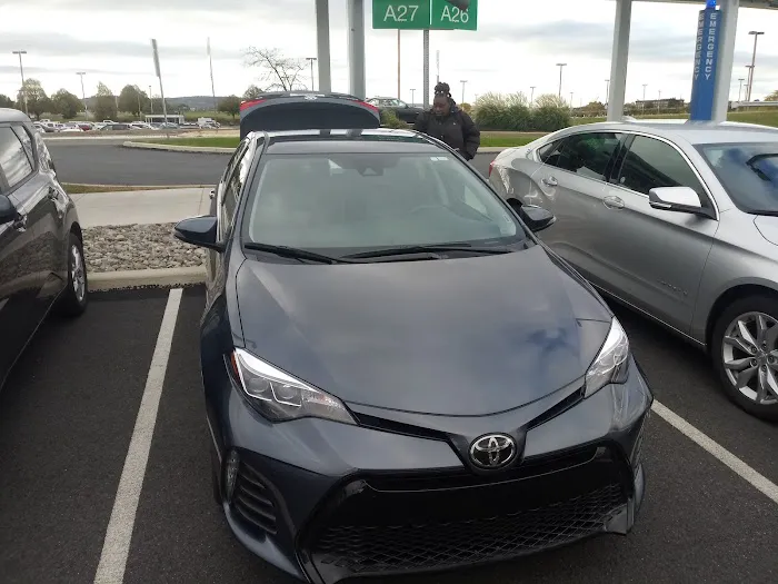 Budget Car Rental Picture 4