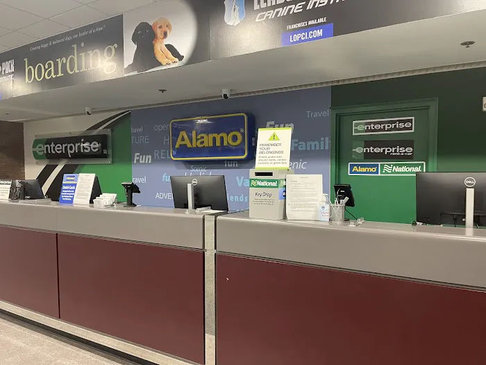 Alamo Rent A Car Picture 7