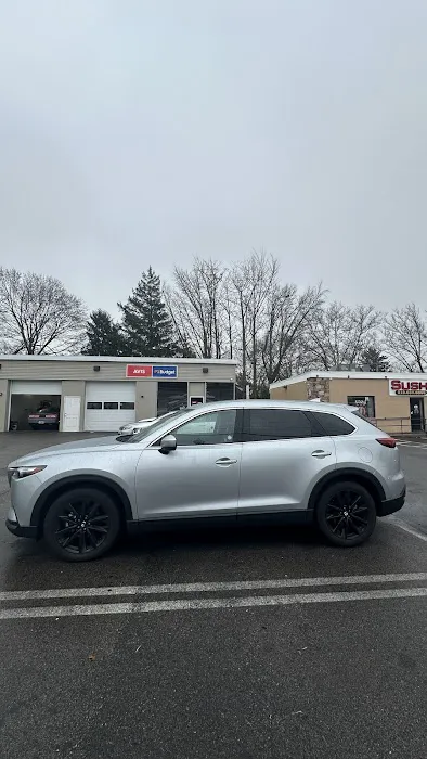 Avis Car Rental Picture 1