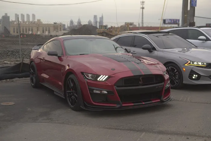 MTM EXOTIC RENTALS Picture 5