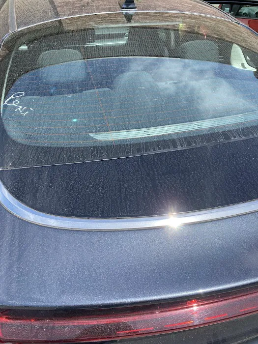 Avis Car Rental Picture 1