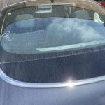 Avis Car Rental