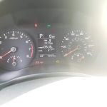 Avis Car Rental